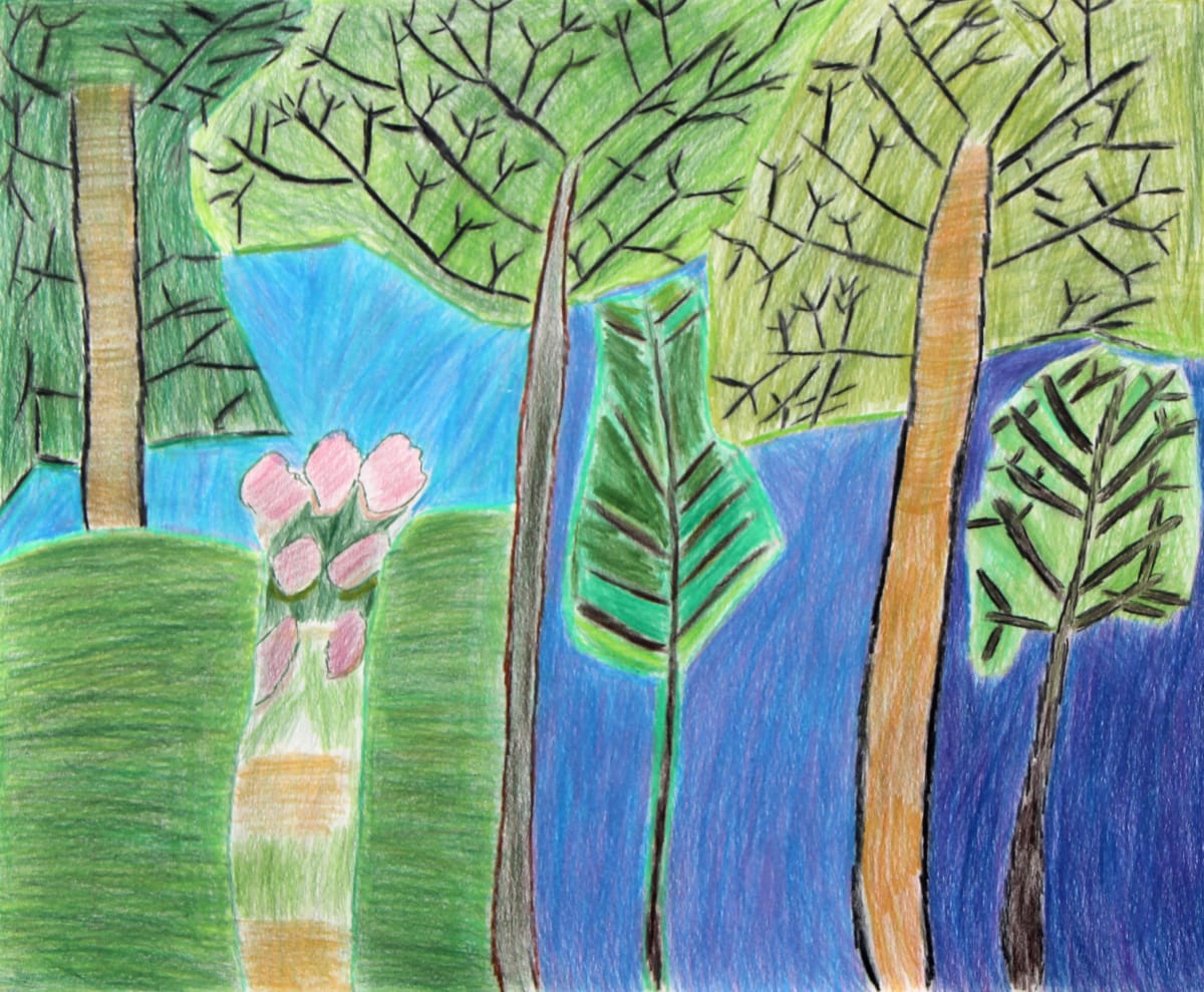 The Jungle by Julie Corry 