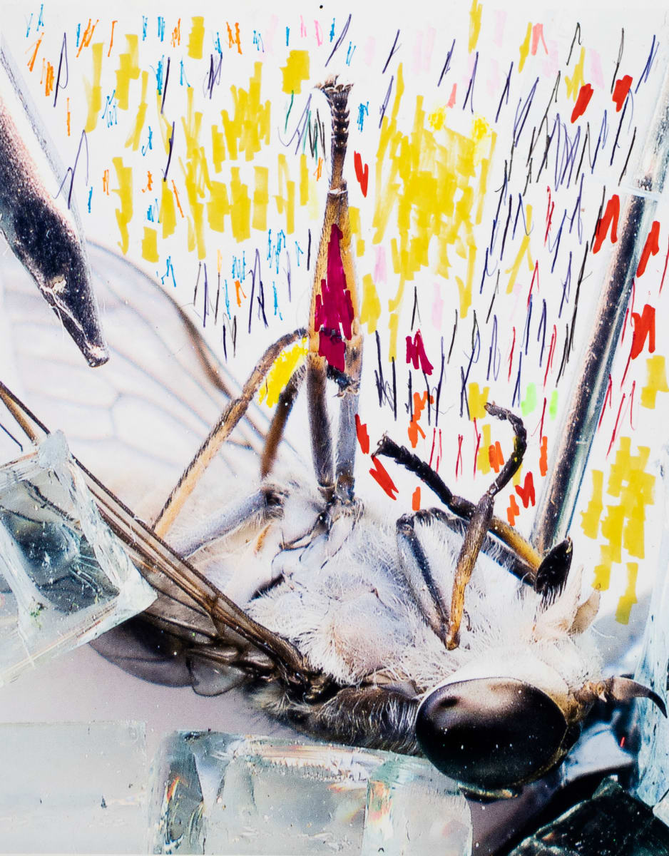 Be Aware by Leah Magnotti 