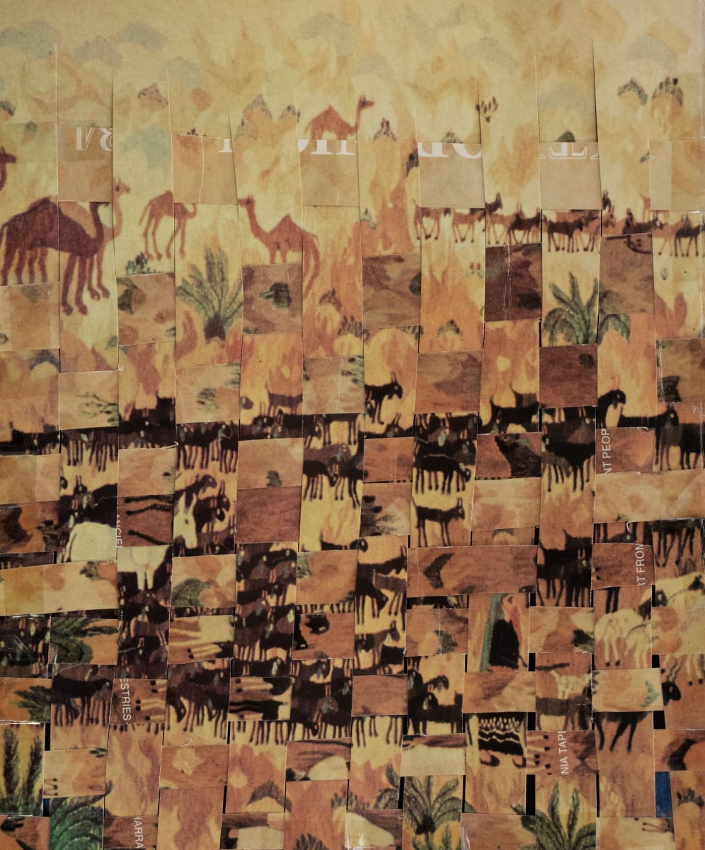 Camels by Lisa Gordon 