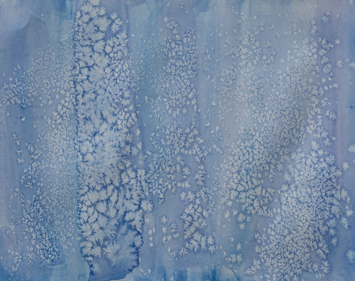 Snow Crystals by Mariana Abballo 