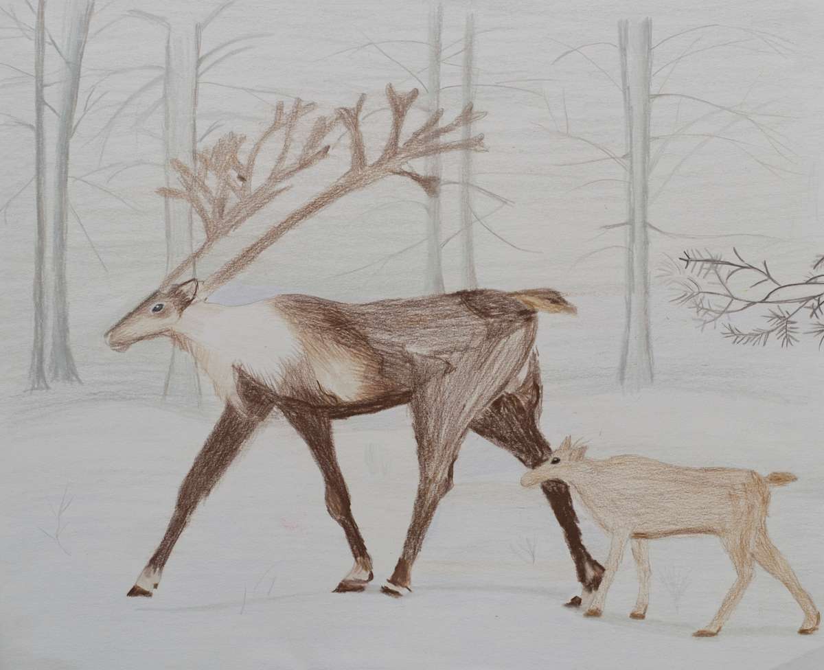 Mother and Baby Rain Deer by Sheri McSweeney, Image 1.