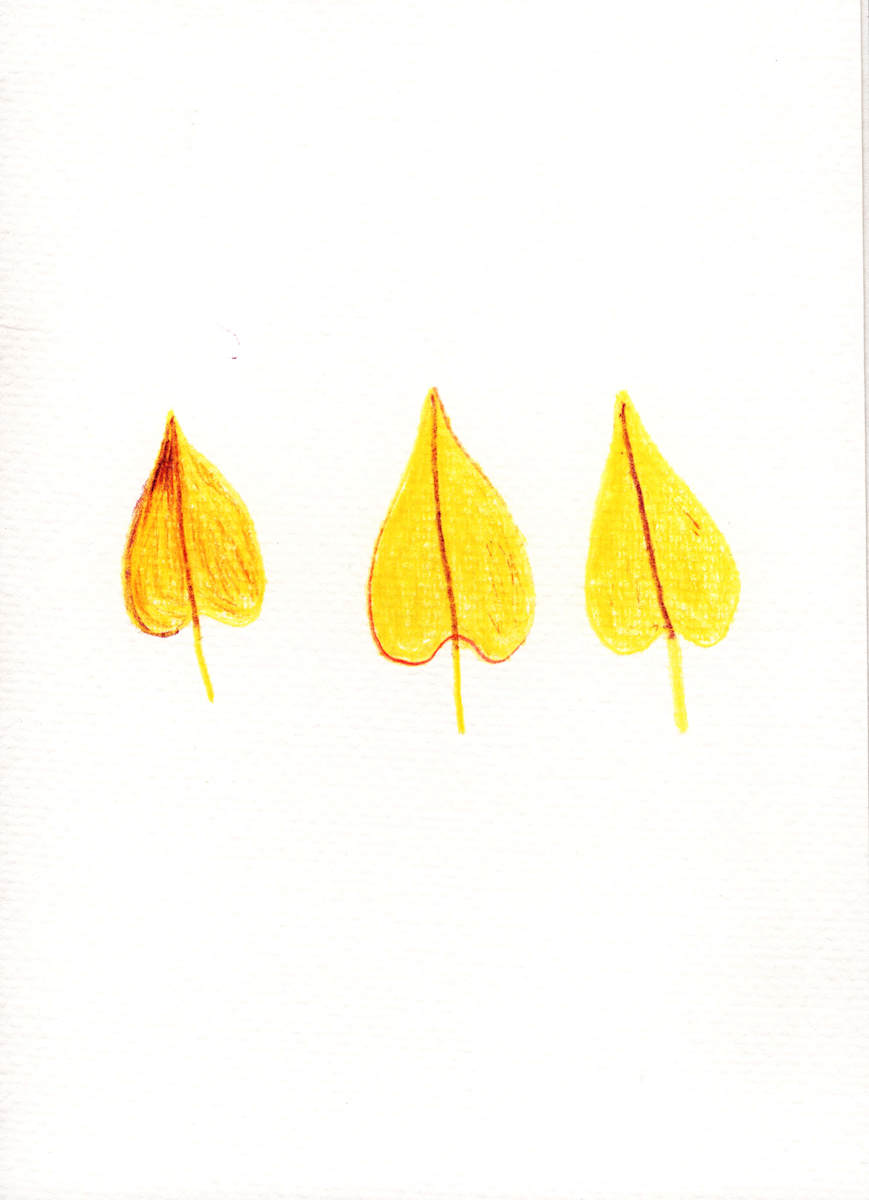 Three Holy Leaves by Reed Feshbach, Image 13.