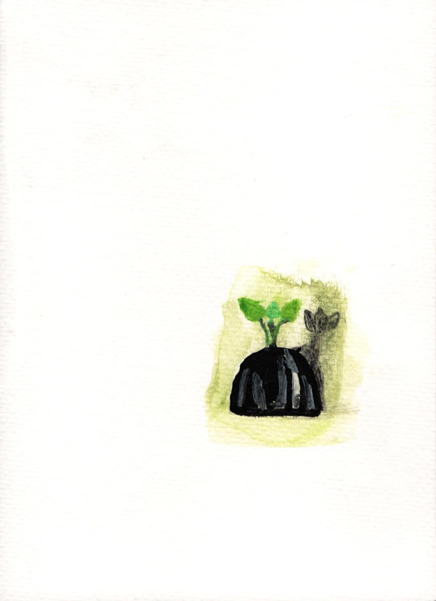 Green Plant by Reed Feshbach, Image 9.