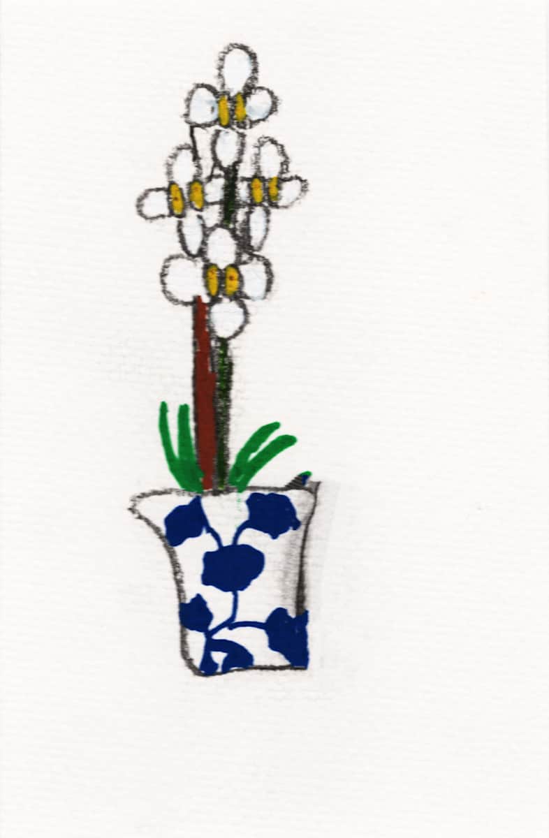 White Orchid by Reed Feshbach 