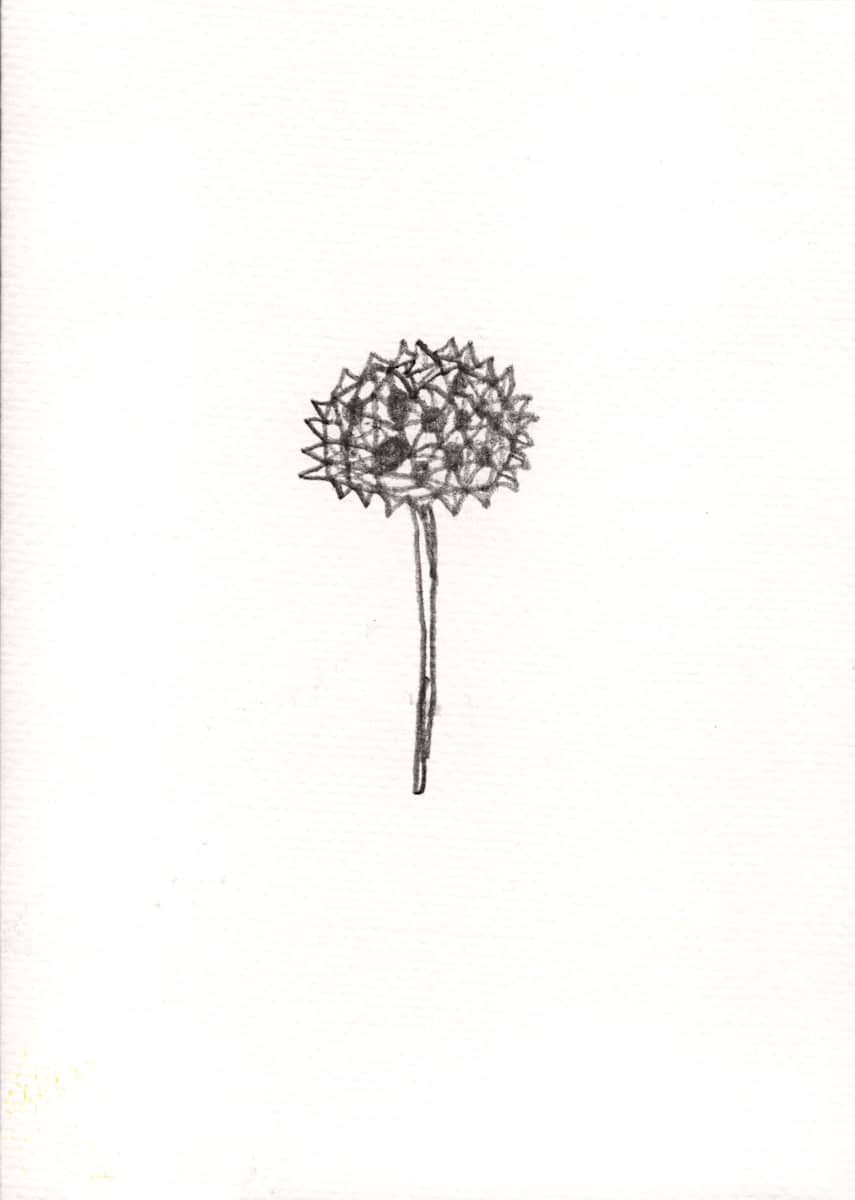 Wish It by Reed Feshbach, Image 6.