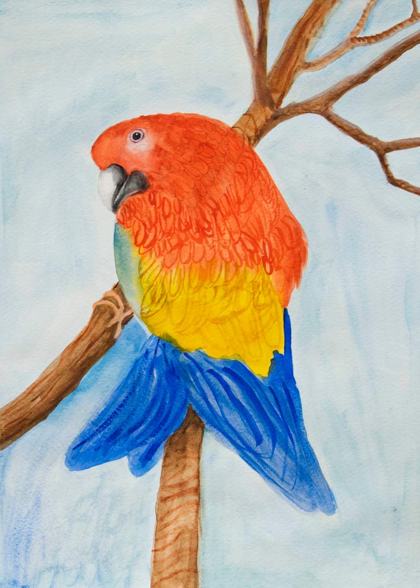 Parrot by Robert Lacey, Image 18.