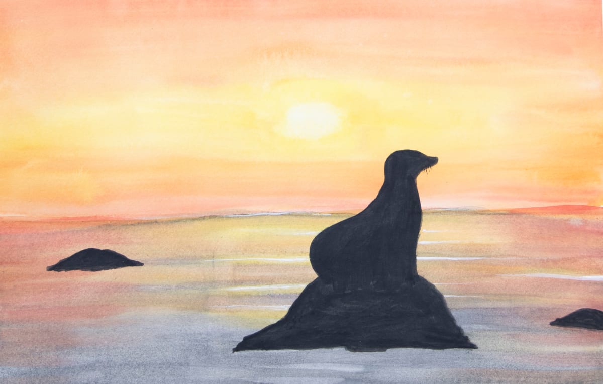 Sunset with Sea Lion by Sheri McSweeney 