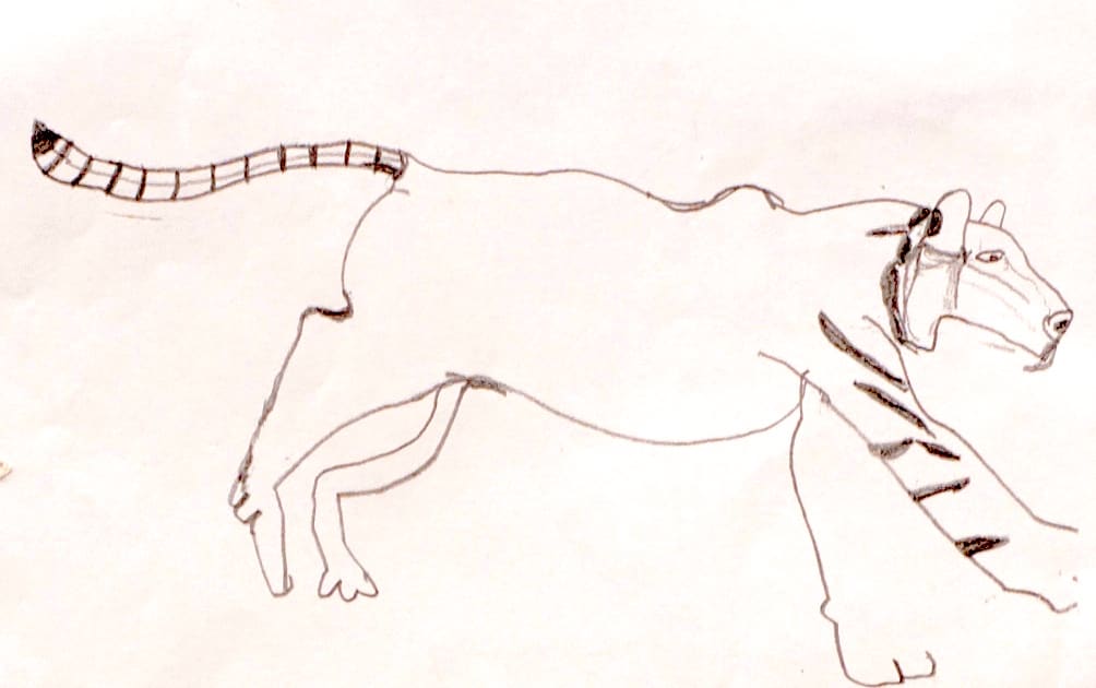 Tiger by Sheri McSweeney, Image 1.
