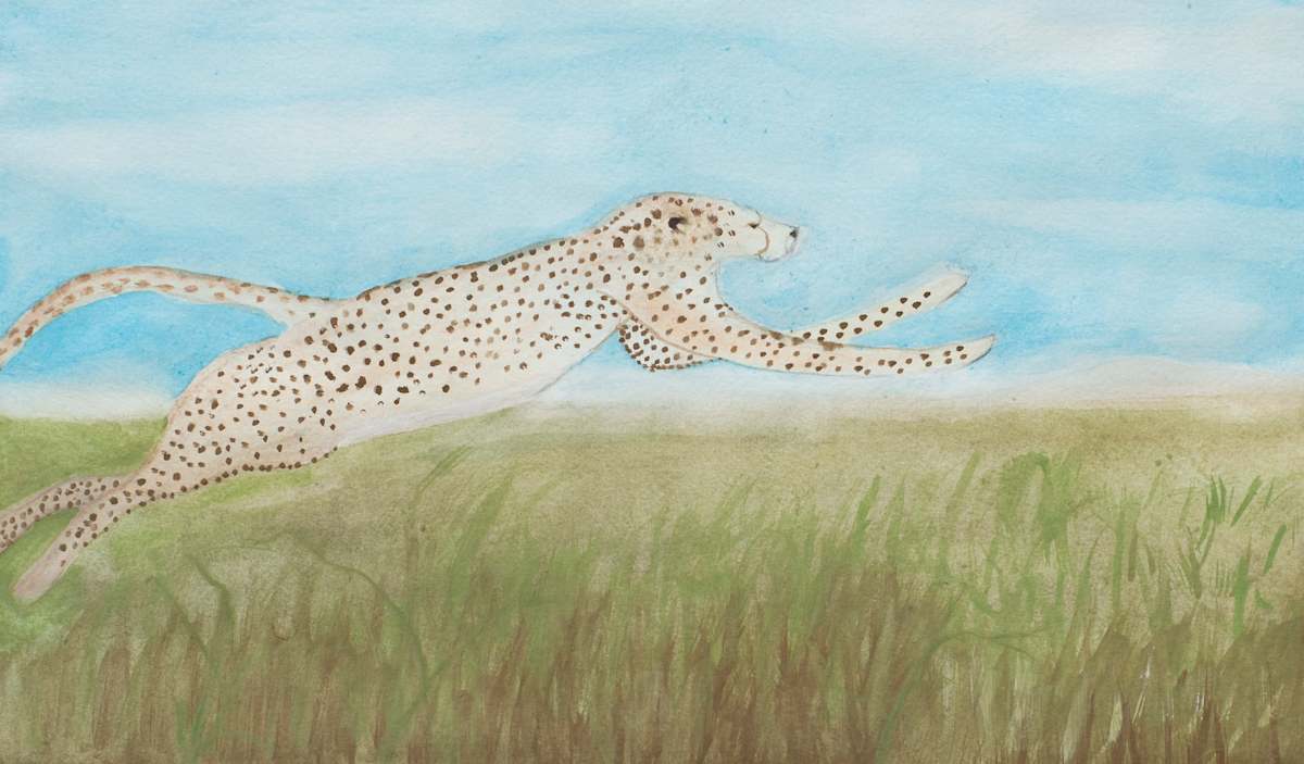 Leaping Cheeta by Sheri McSweeney 