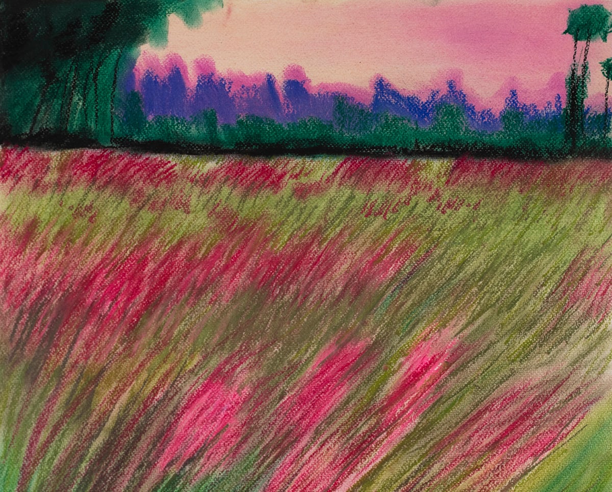 Pink Field by Sheri McSweeney 