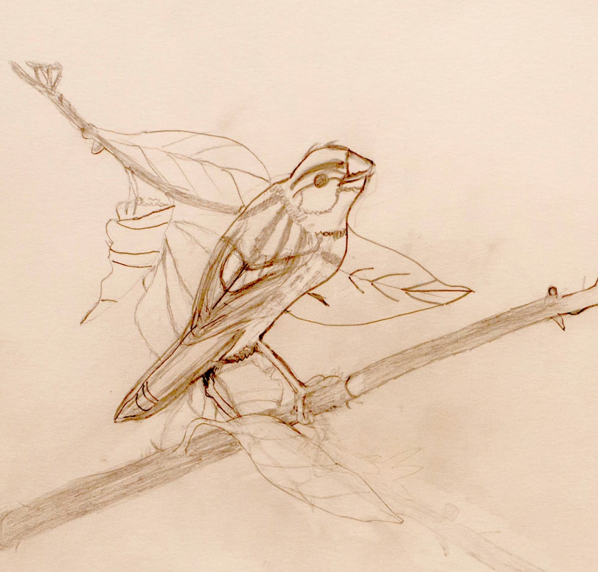 Singing Bird by Sheri McSweeney, Image 1.