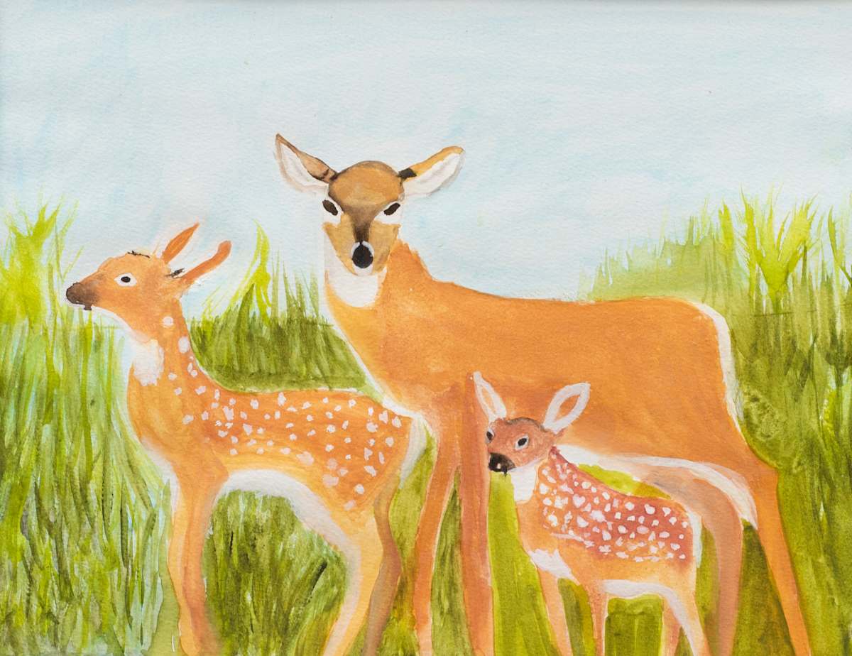 Doe and Her Fawns by Sheri McSweeney, Image 1.