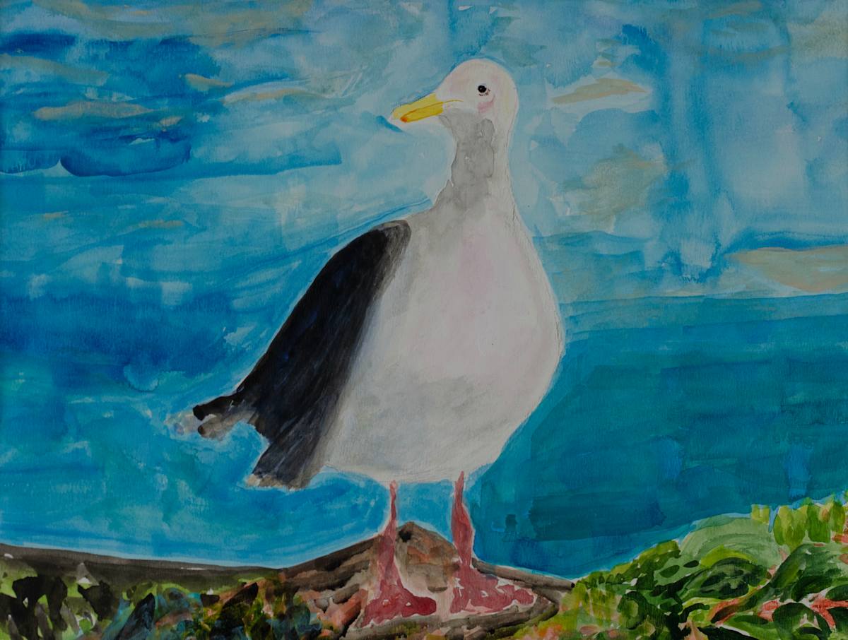 Tom_Schmidt_23_x6vunz_28 