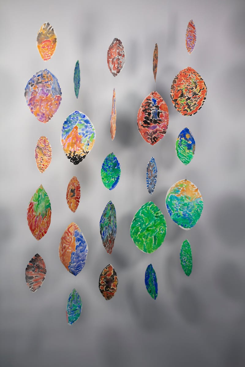 Dapple by Tom Schmidt, Image 8.