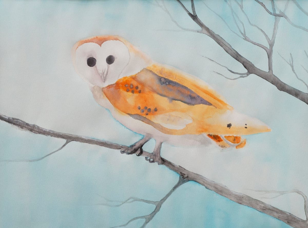 Barn Owl #1 by Sheri McSweeney 