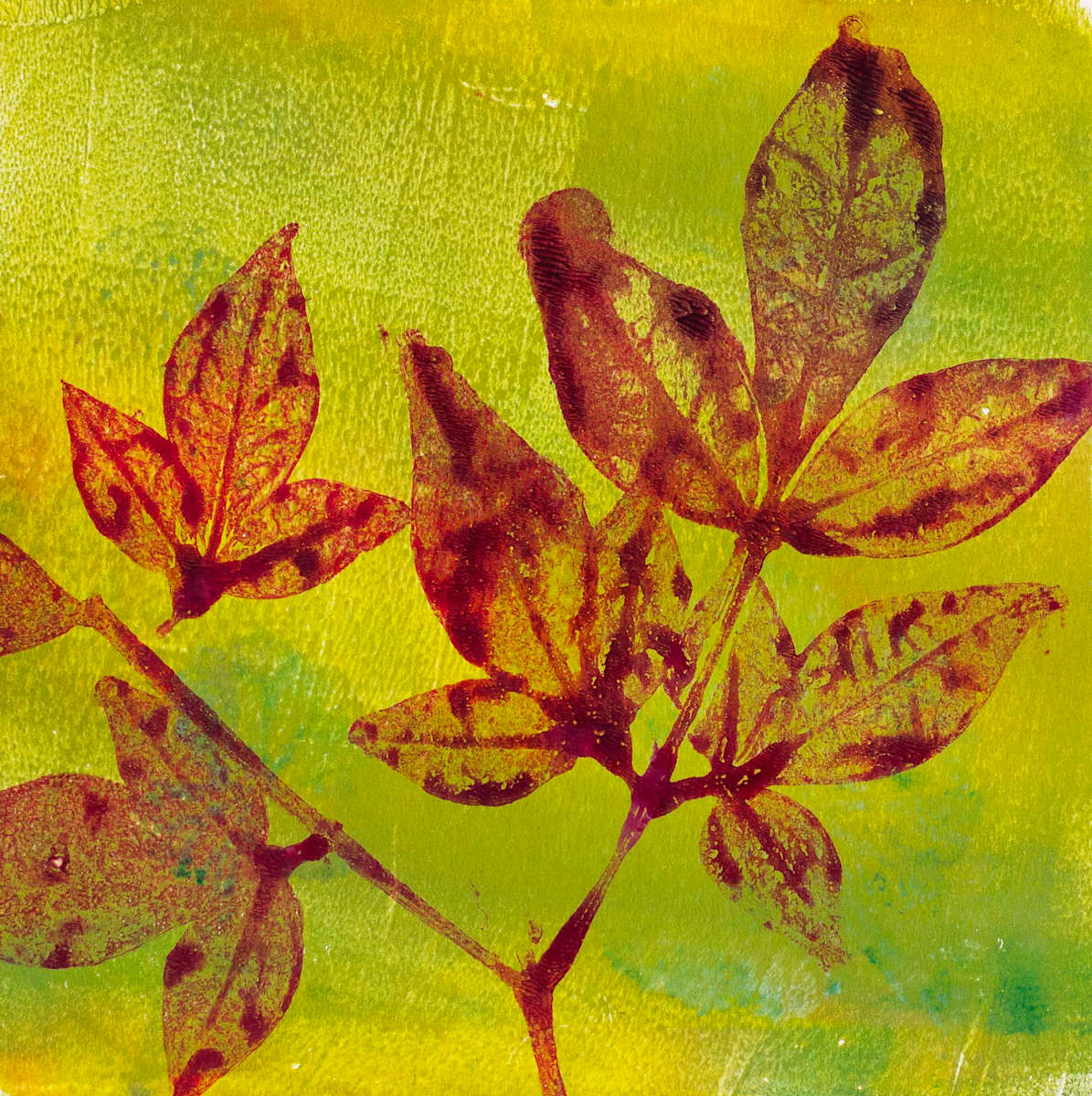 Brwown Heavenly Bamboo by Zina Walker 