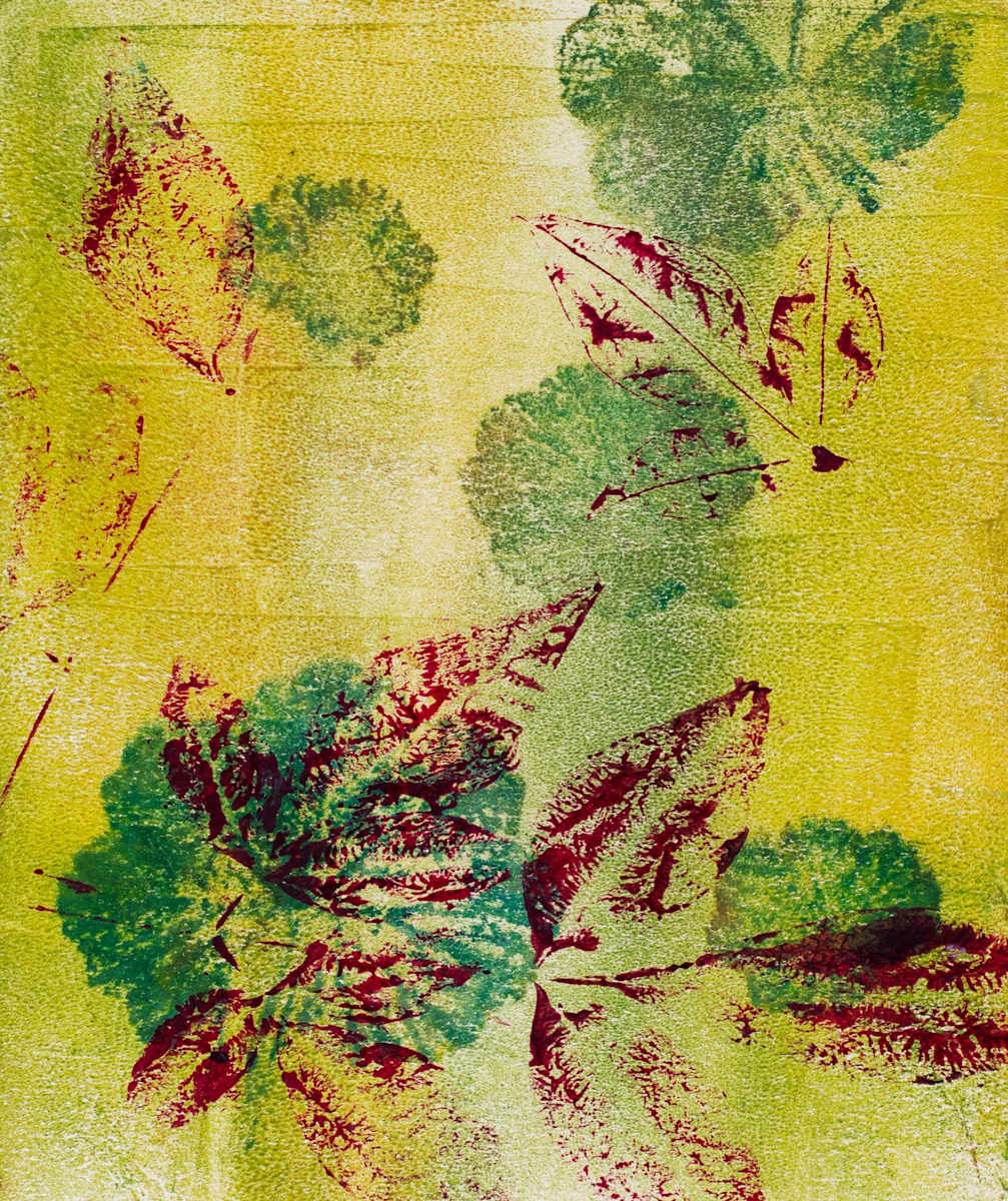 Heavenly Bamboo Geranium by Zina Walker 