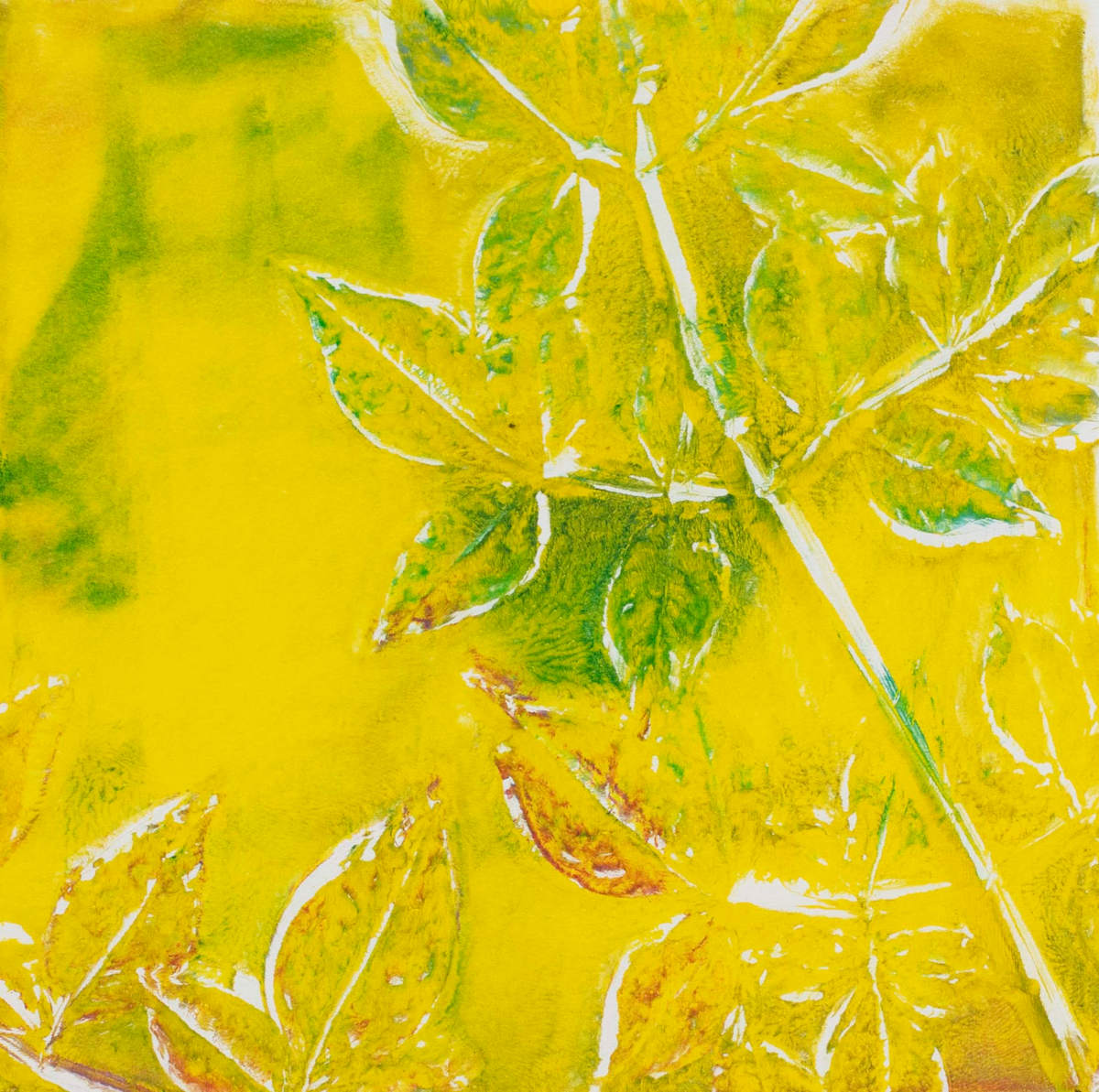 Yellow Heavenly Bamboo by Zina Walker 