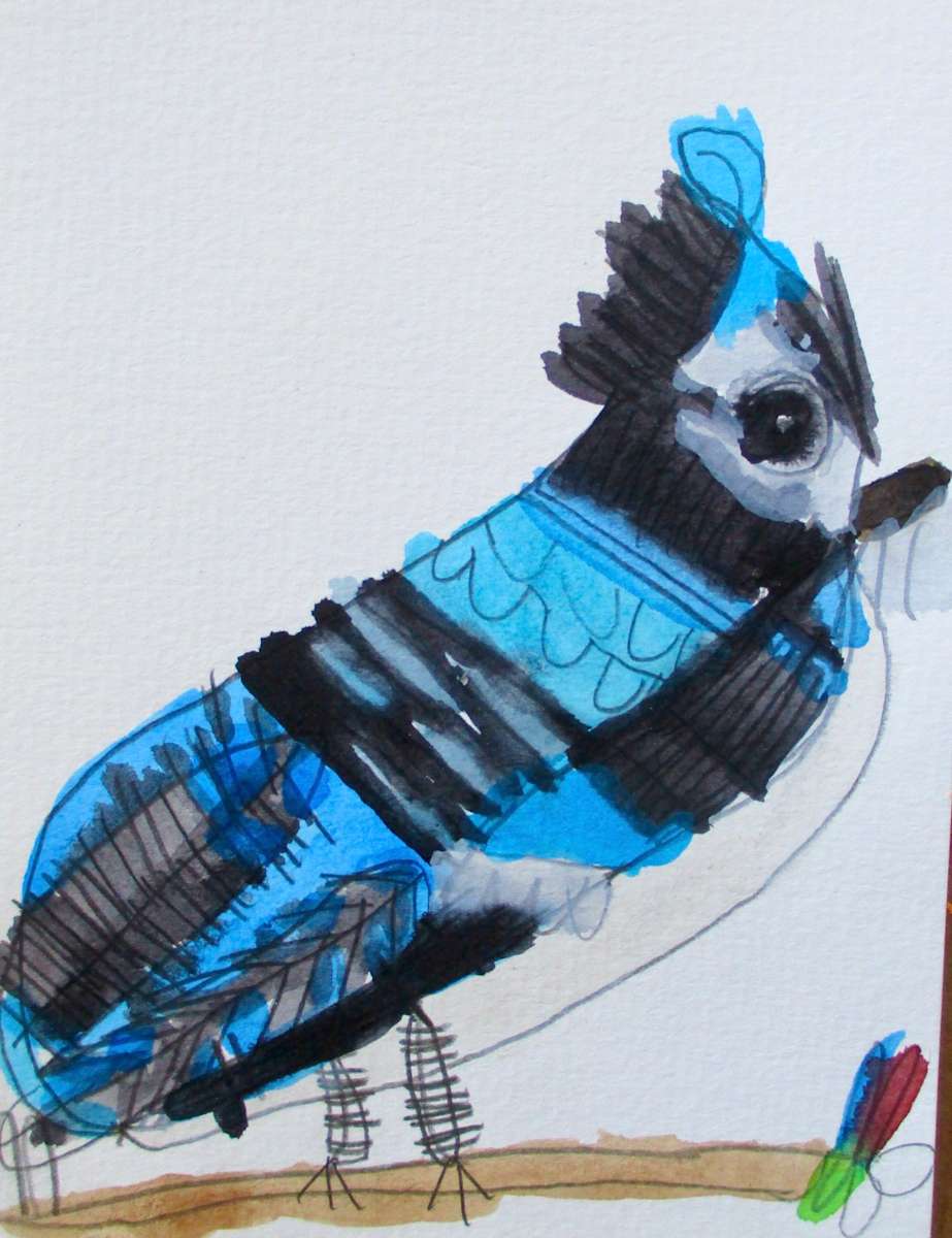 Jay by Jenny Bullock 
