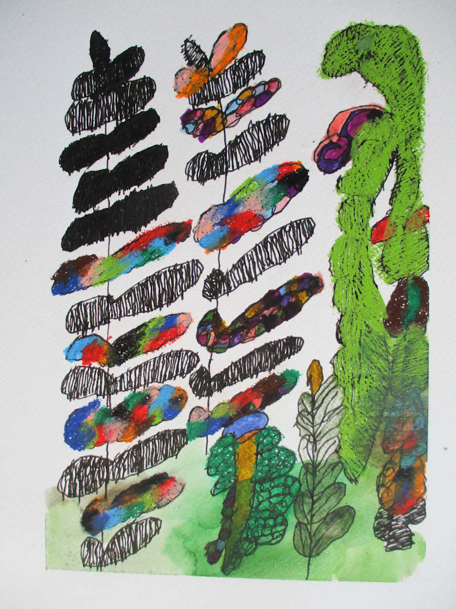 Fern Grotto by Josie Juantorena 