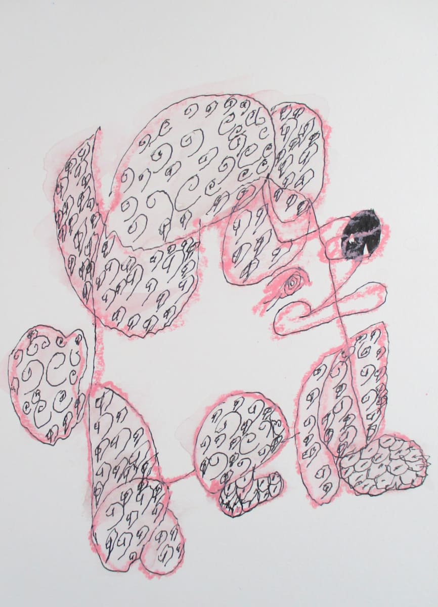 Pink Poodle by Josie Juantorena 