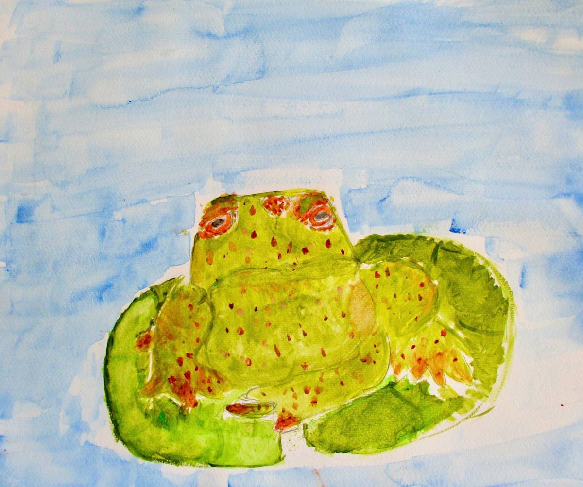 Houston Toad, Image 1.