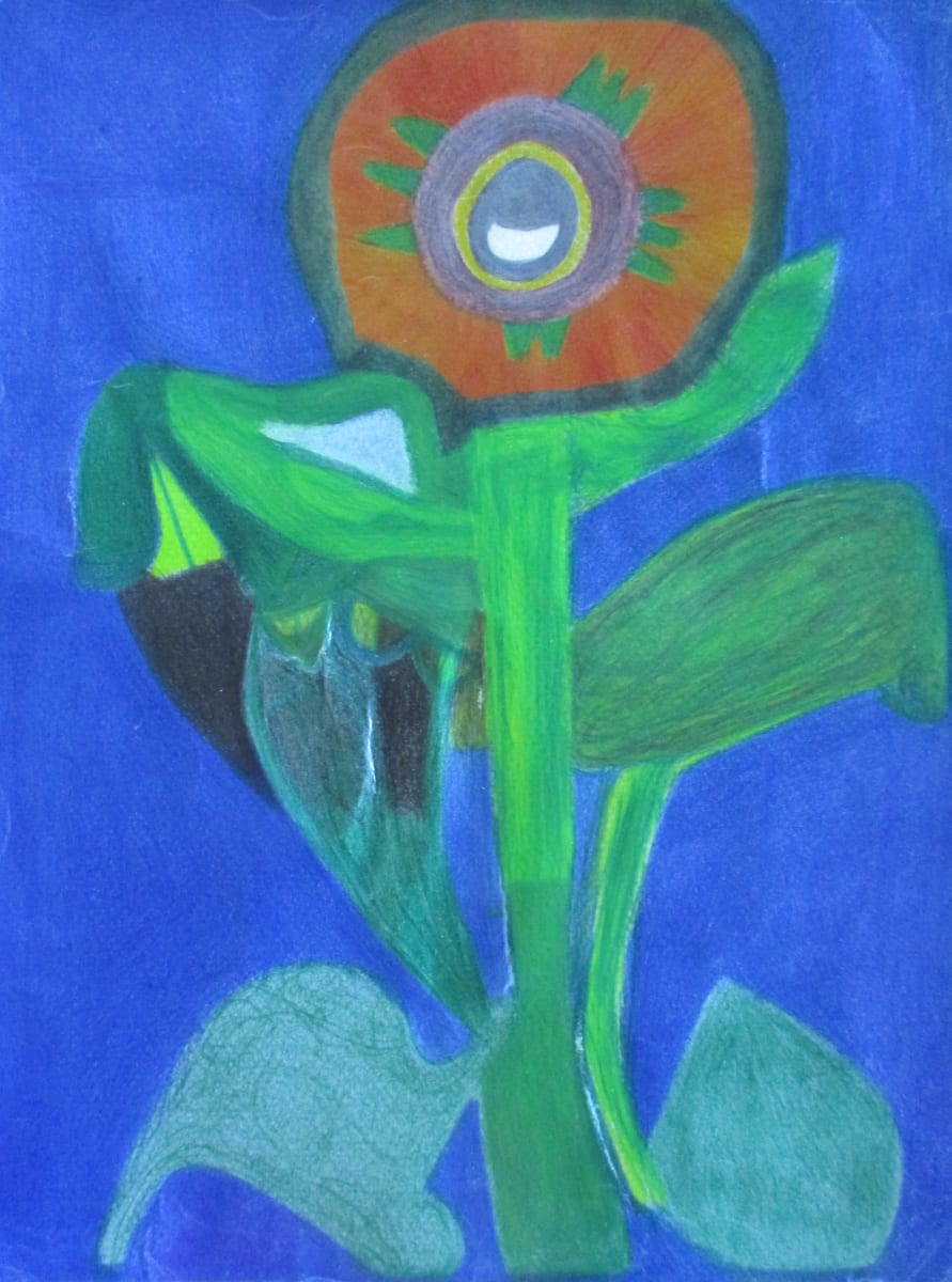 Flower of the Sun by Sarah Burke 