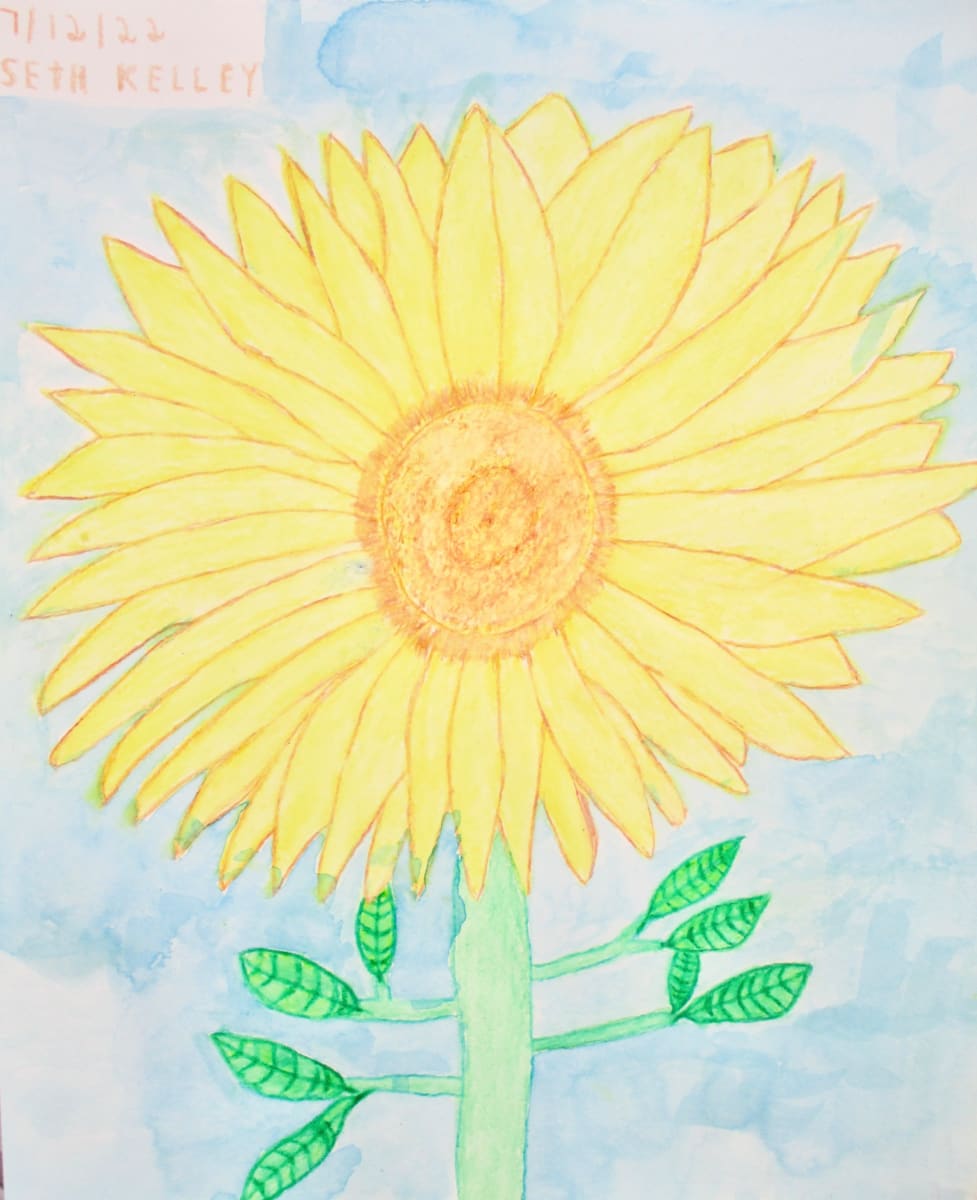 Sunflower by Seth Kelley 
