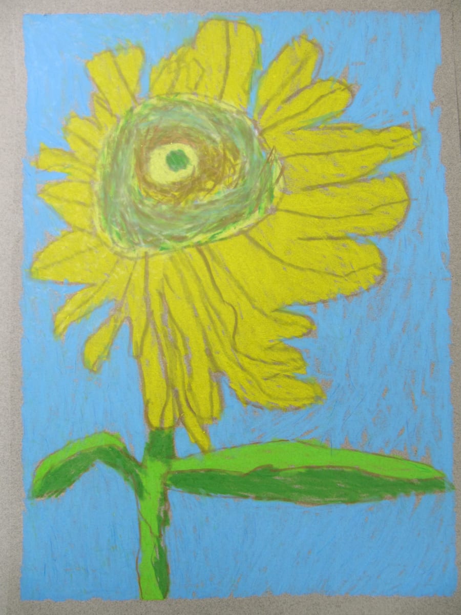 Sunflower by Siobhan Cooke, Image 1.