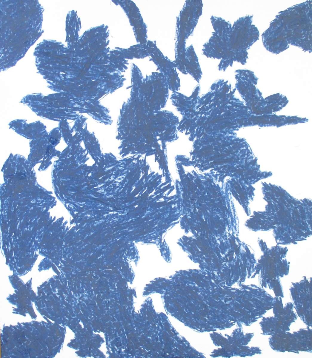 Blueprint by Siobhan Cooke 