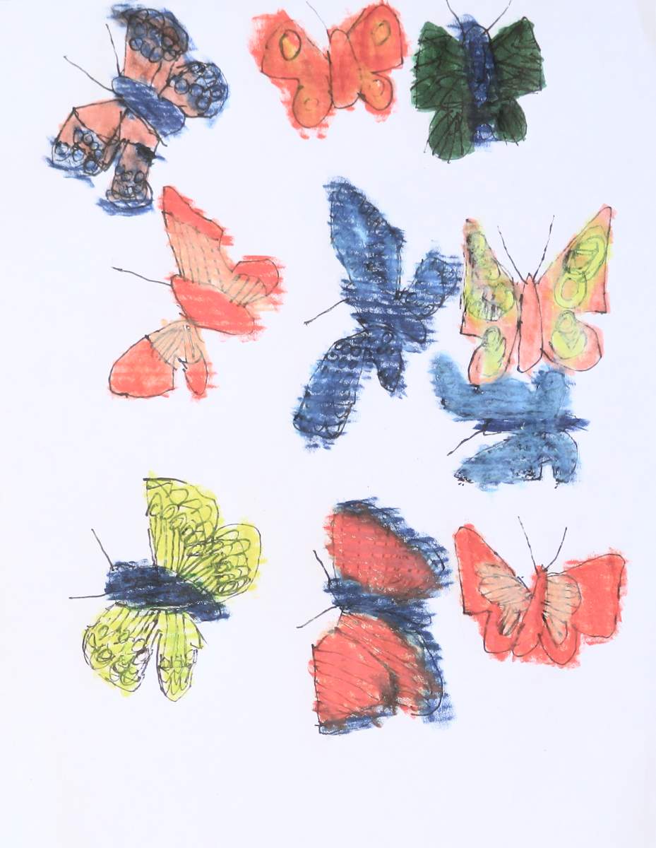Butterfly Collection #4 by Siobhan Cooke, Image 1.