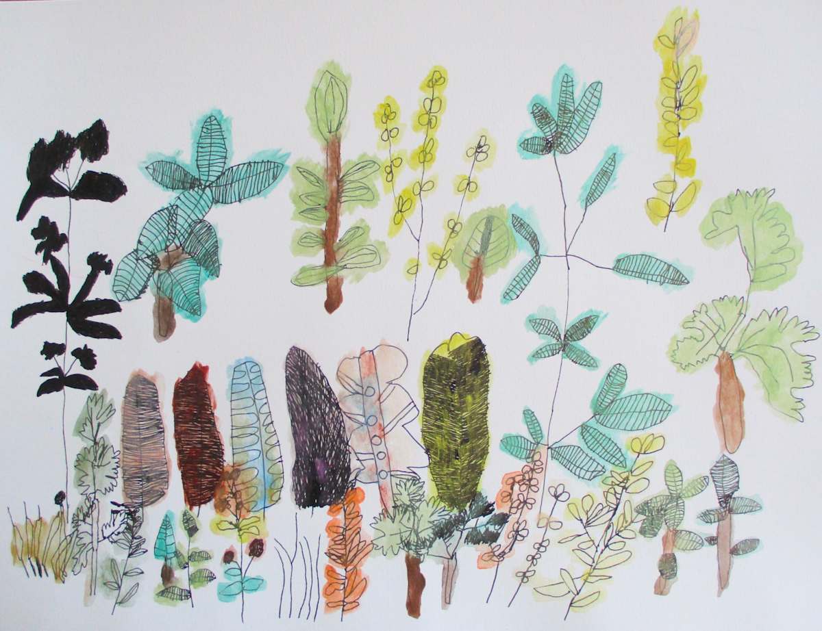 Garden Party by Siobhan Cooke 
