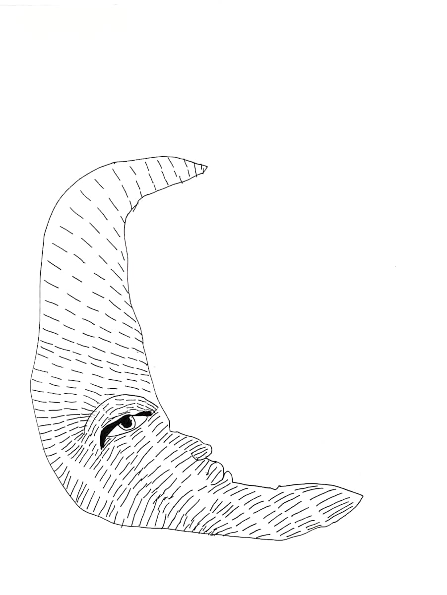 Moon by Siobhan Cooke 