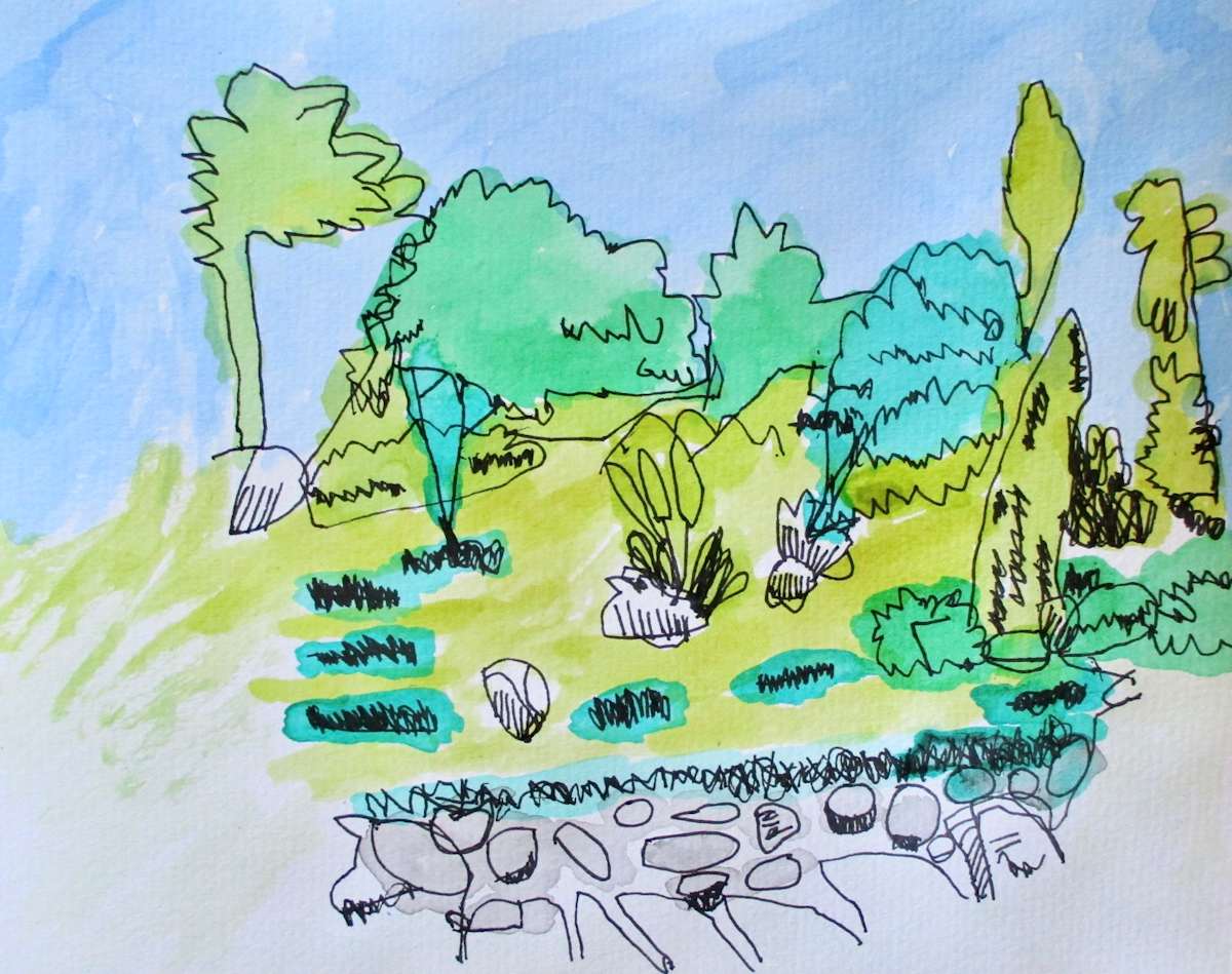 Pond by Siobhan Cooke 