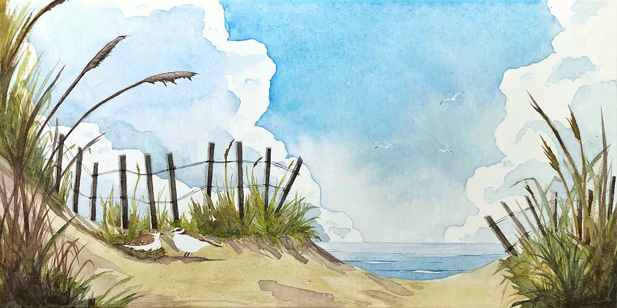 Corolla Calm by Em Campbell 