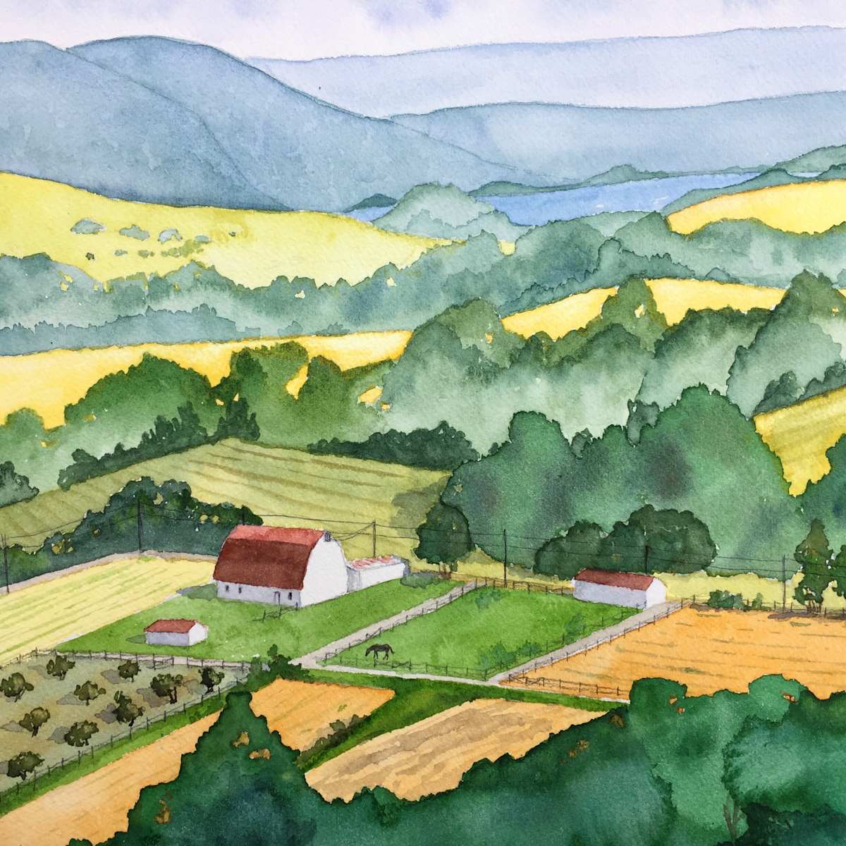 The Valley by Em Campbell  Image: Shenandoah magic