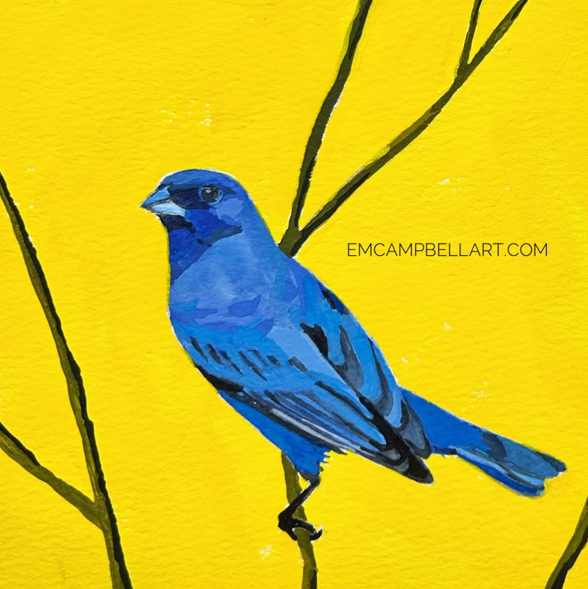Indigo Bunting by Em Campbell 