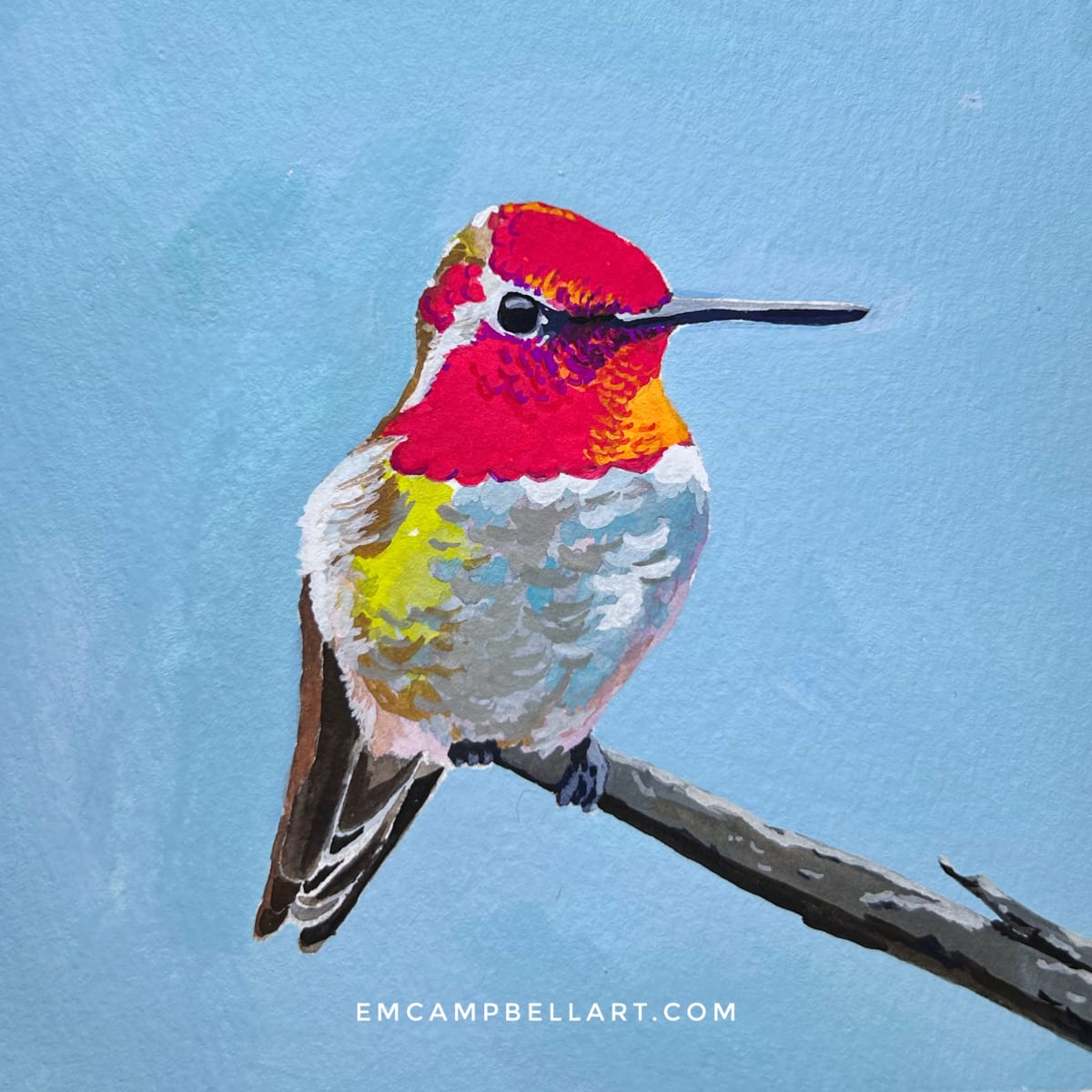 Pink Hummingbird by Em Campbell 