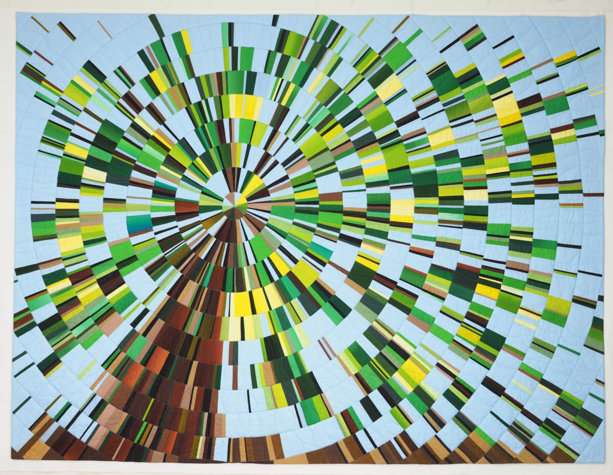 Tree Rings by Vicki Conley  Image: Tree Rings - full