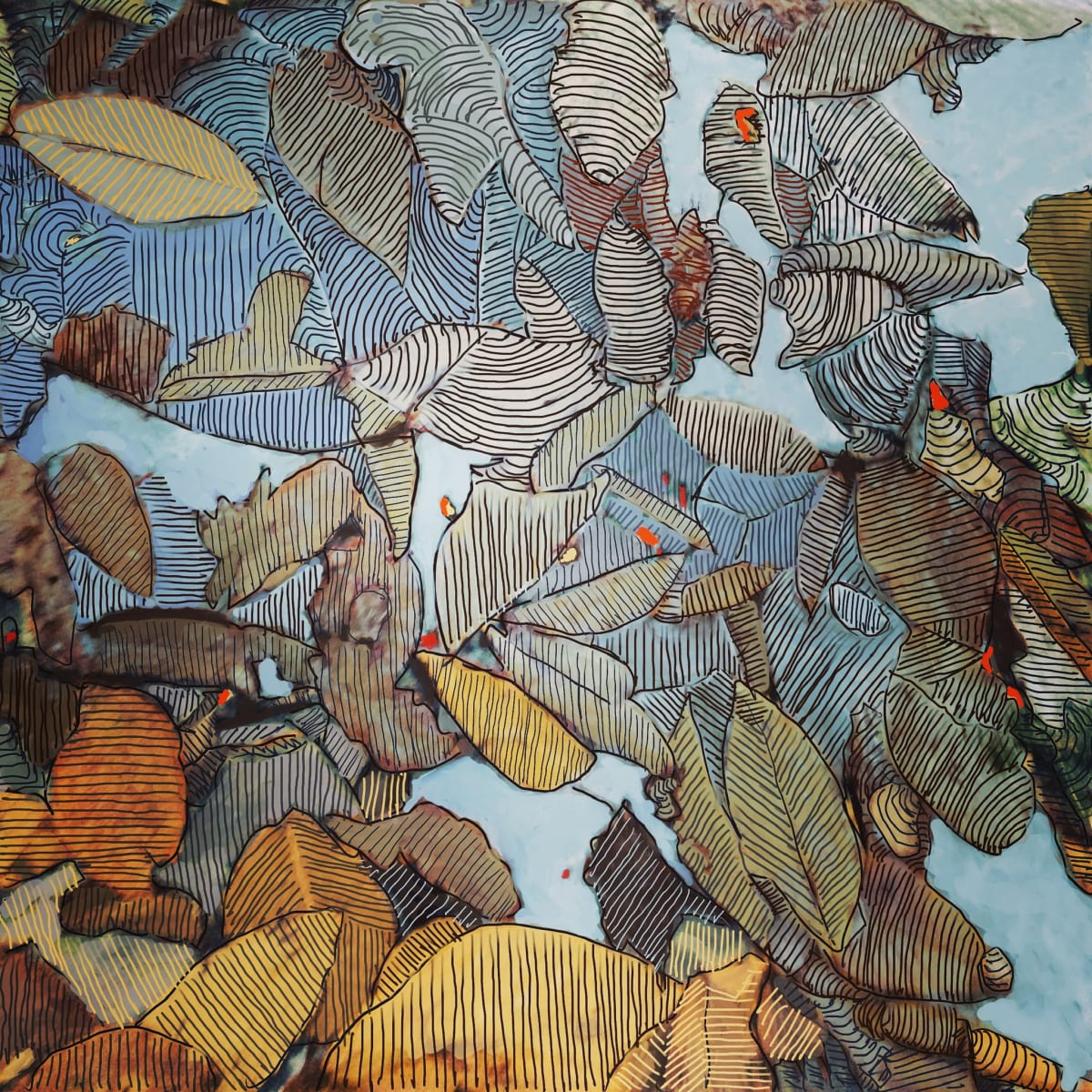 Lyon  Brook Trail ,  New London , New Hampshire by Peter Anderson 