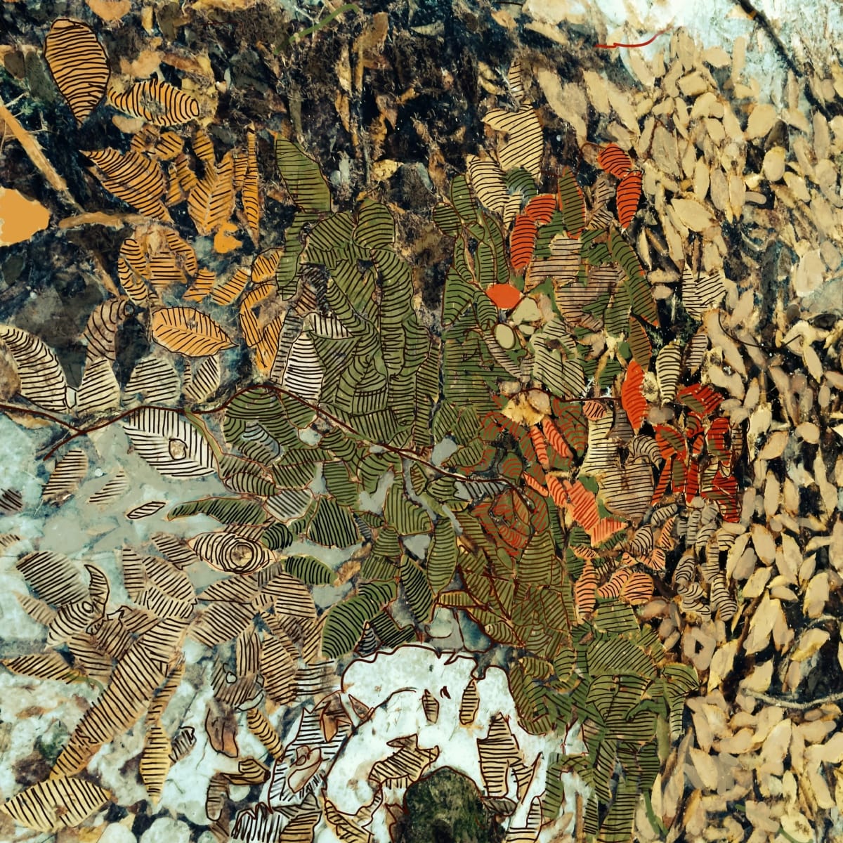Map # 17 - Lyon Brook, NH # 3 by Peter Anderson, Image 6.