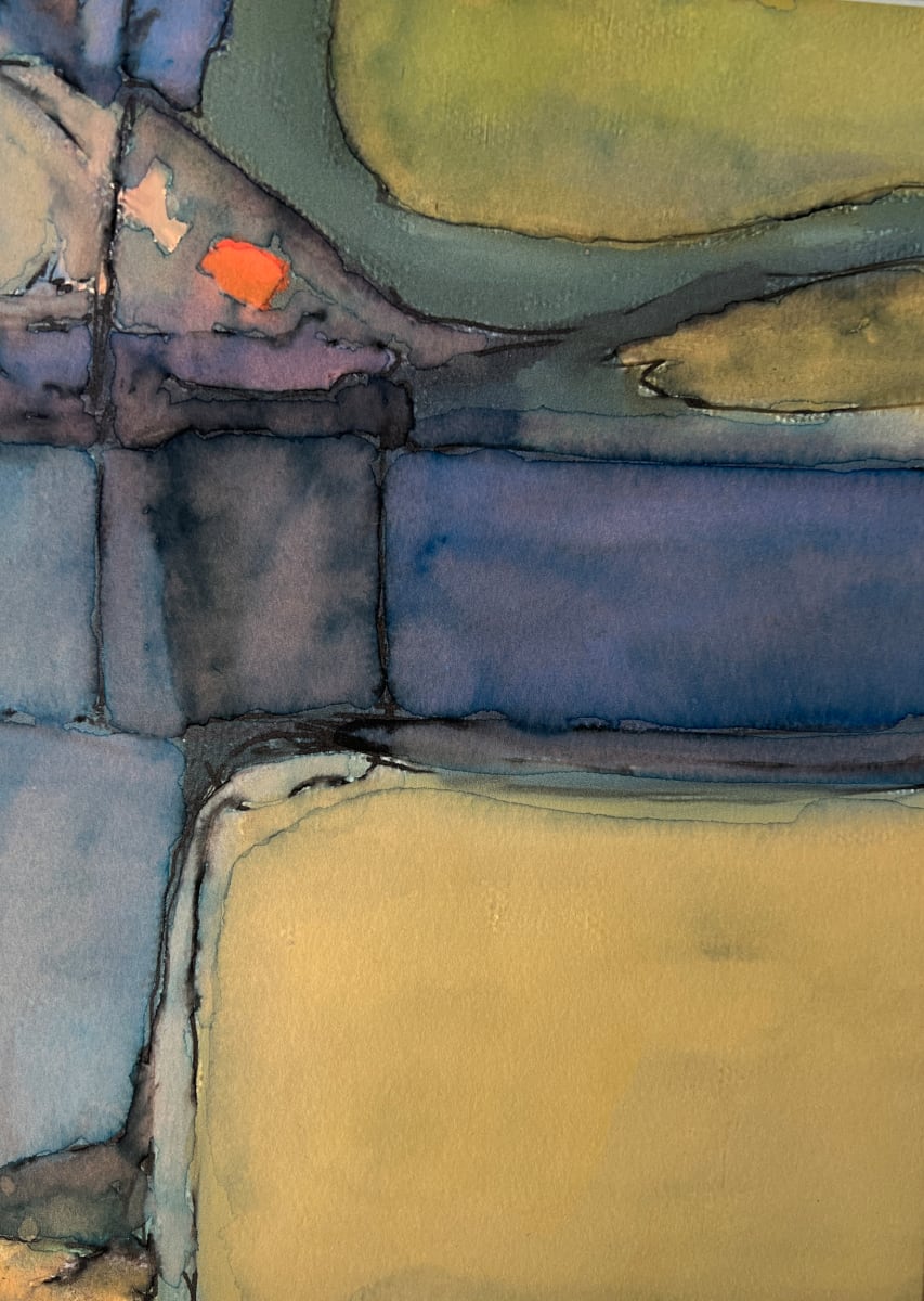 Field Study # 20 by Peter Anderson, Image 2.