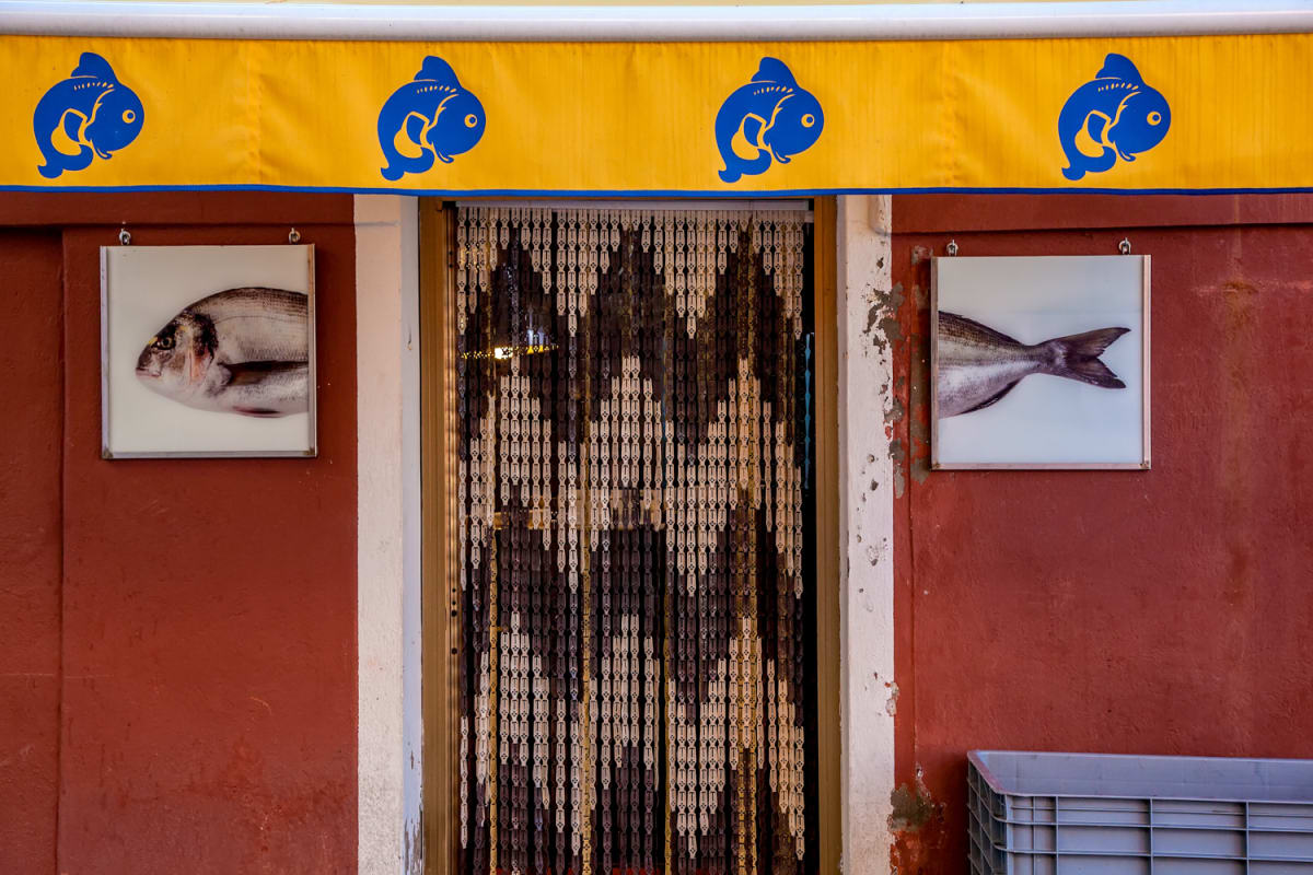 Doorway to Fish, Burano 