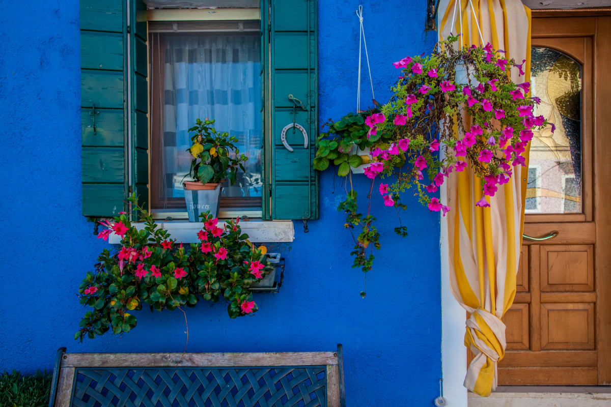 Blue Wall with Flowers, Burano 