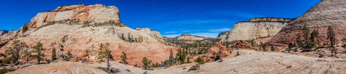 Zion Panorama 