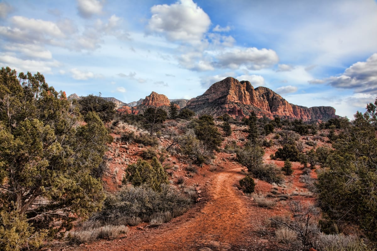 Sedona Landscape 