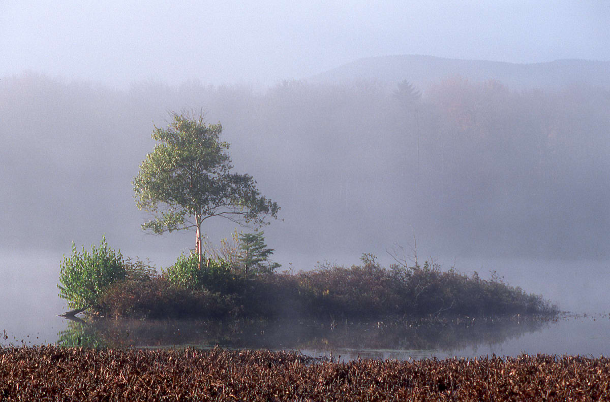 Adirondack Fog 