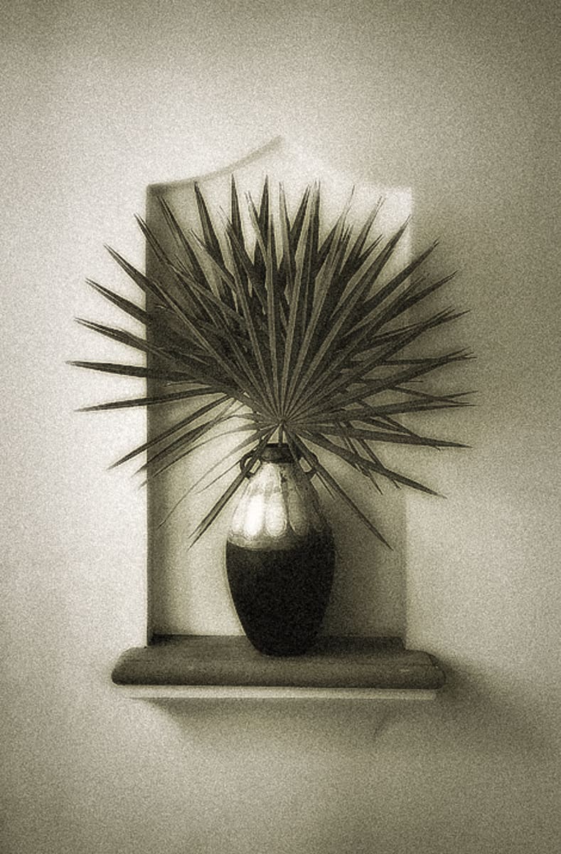 Palmetto in a Vase 