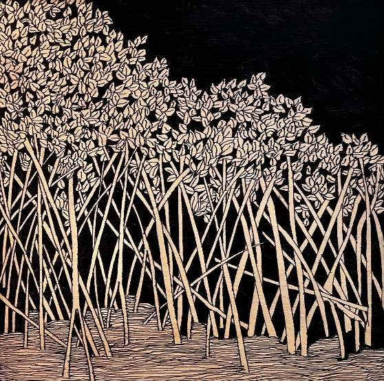 Manglar 888 by ALESSANDRA ALBIN, Image 1.