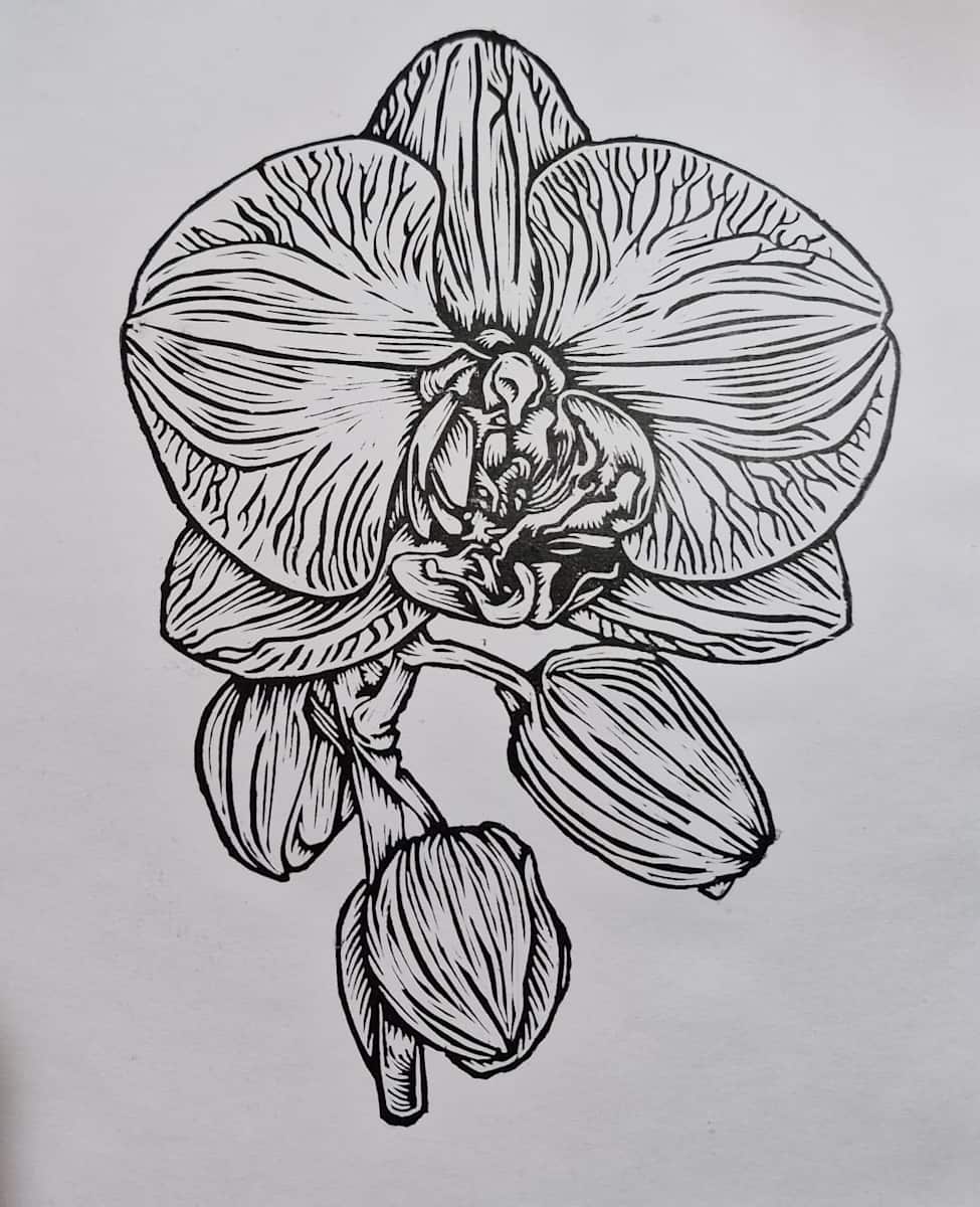Orquidea 5/30 by REBECA SERRANO, Image 1.